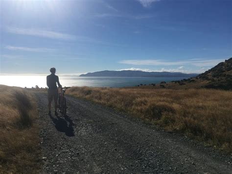 Remutaka Cycle Trail In A Day Wellington Tramping And Mountaineering Club