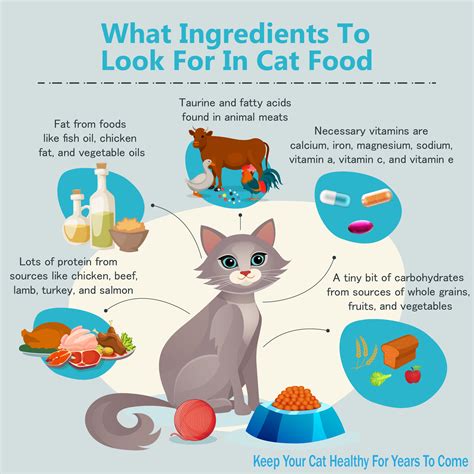 For wholehearted, these are the most common ingredients found within the first 5 cat food ingredients. Cat Food Ingredients Infographic(1) - Animals Time