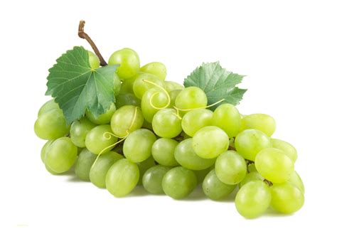 Download Green Grapes Hq Png Image Freepngimg