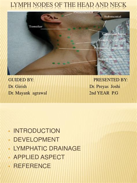 Lymph Nodes Of Head And Neck Region Lymphatic System Lymph