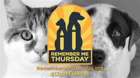 Be A Part Of The Remember Me Thursday Movement The Tiniest Tiger