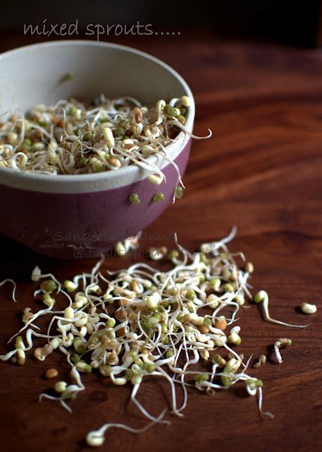 health benefits of sprouts few recipes with sprouts and how to sprout lentils at home