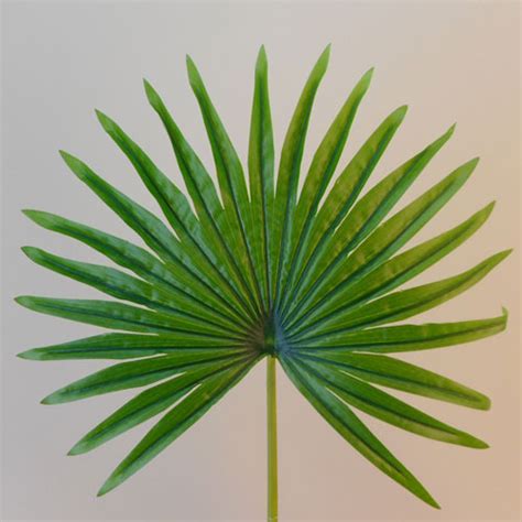 Artificial Fan Palm Leaf Real Touch Artificial Leaves