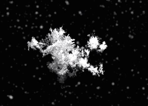 Falling Snowflake Pictures