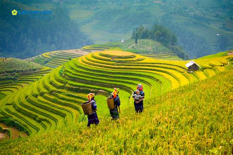 Việt nam đang chứng kiến thay đổi nhanh về cơ cấu dân số và xã hội. Saigontourist - Việt Nam lọt Top 20 Quốc Gia đẹp nhất hành ...