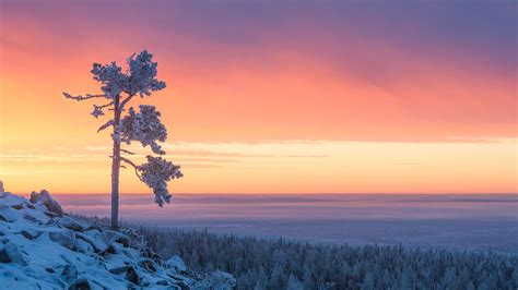 About Lapland Wonders Of Nature And More Visit Finnish Lapland