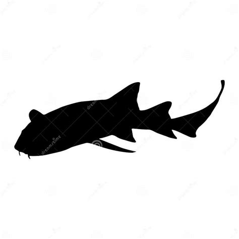 Nurse Shark Ginglymostoma Cirratum Swimming On A Side View Silhouette