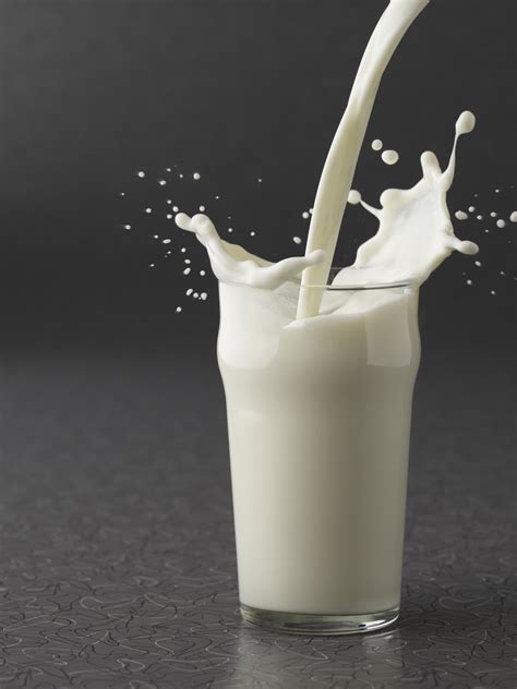 Milk Does A Body Good Maybe Not Always Harvard Doc Argues Huffpost
