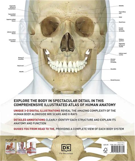 正版 The Definitive Visual Guide Human Anatomy 最抵價 買書書 Buybookbook