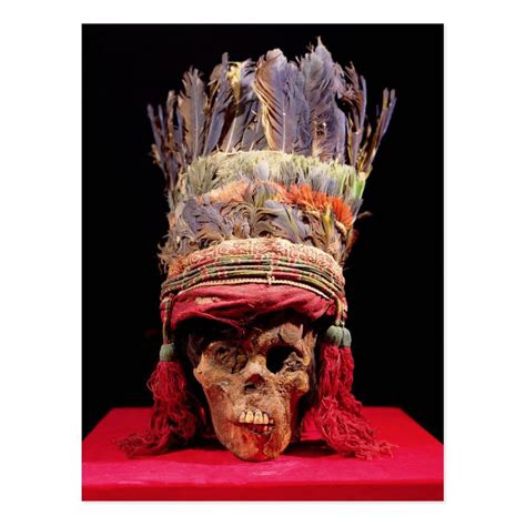 feathered-headdress-on-a-skull,-from-peru-postcard-zazzle-com-in-2021-art,-feather-headdress
