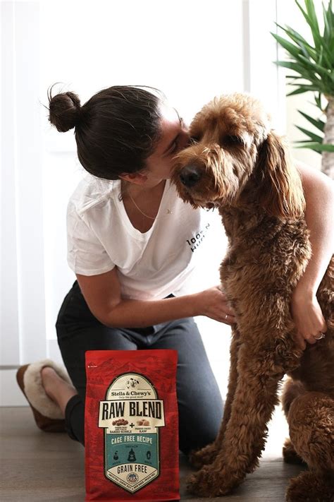 We carry professional custom emotional support animal certificates, duplicate copy free. What Is an Emotional Support Animal and How To Get ...