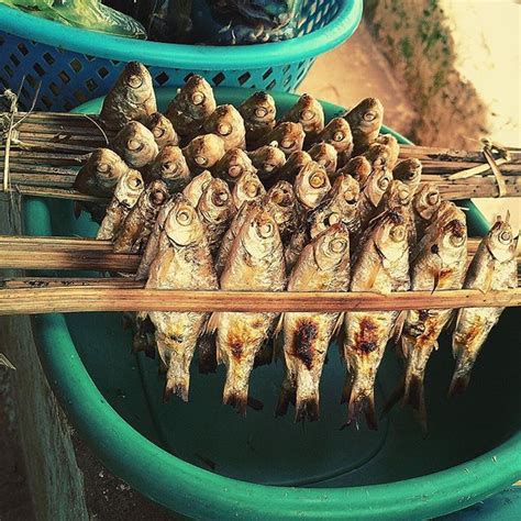 China is the place to go to get food shock a dozen times a day. Something smells fishy around here #fish #bbq #fishbbq # ...