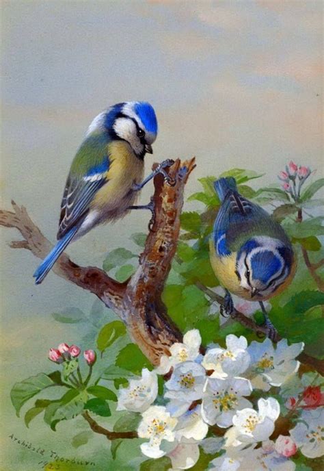 Birds Painting Painting And Drawing Oil Painting Pretty Birds