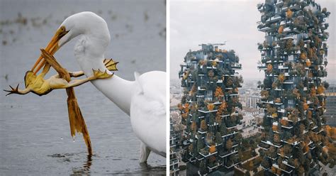 30 Mind Blowing Photographs From The National Geographic Instagram