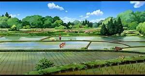 Anime, Landscape, Rice, Fields, Landscape, Anime, Background