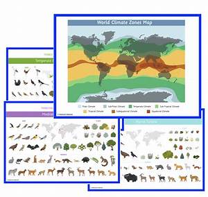 Ecosystems Impressionistic Charts Montessori