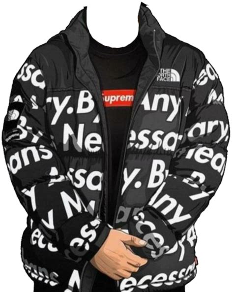 Supreme The North Face By Any Means Nuptse Jacket Black Ph