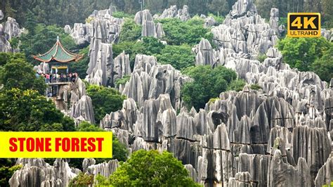 The Stone Forest China Travel And Historical Documentary Amazement