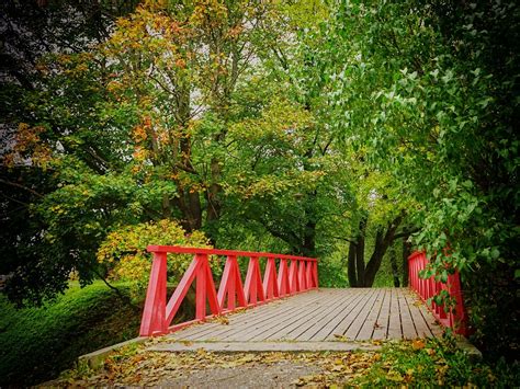 Autumn Bridge The Park Free Photo On Pixabay