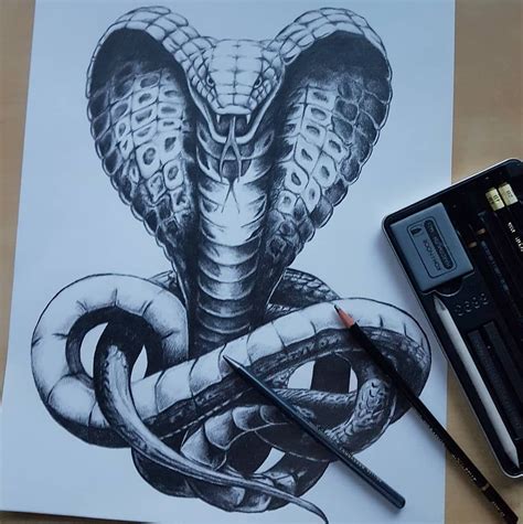 Snake Cobra Art Pencil Drawing Snake Drawing Cobra Art Cobra