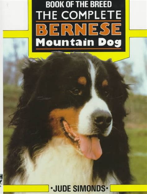15 Books About Bernese Mountain Dogs Part 1 Petpress