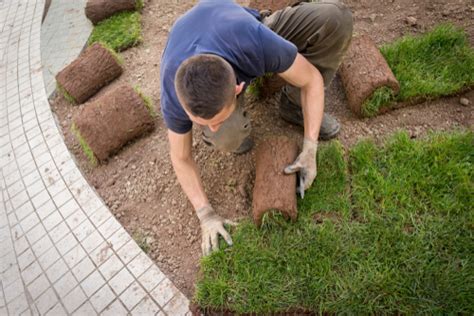 I was always contacted and provided with a revised quote within 24 hours. Sod Placement | Bolingbrook & Lemont, IL | L&S Landscaping