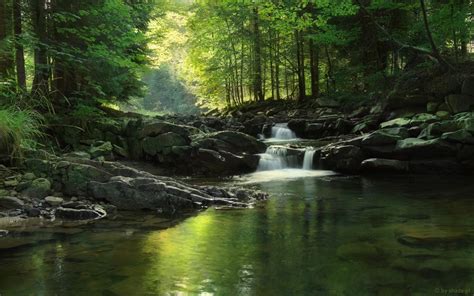 Green Stream Mystical Forest Waterfall Scenery