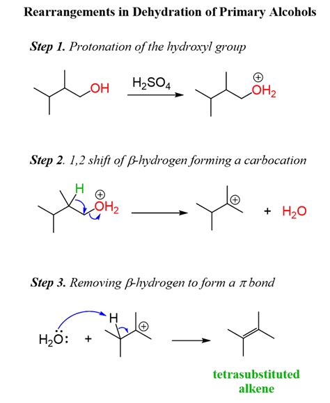 Abszess Reservierung Fausthandschuh Dehydration Reaction Mechanism