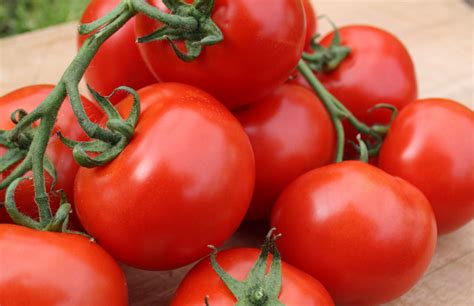 Plant Of The Month October Tomatoes