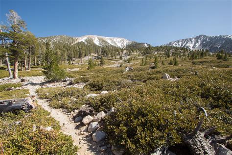 Hiking Map For San Gorgonio Mountain Via South Fork And Dry Lake Loop