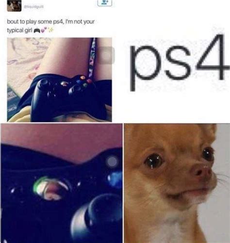 Bout To Play Some Ps4 Via Rgaming Funny Pictures Gamer Humor Laugh