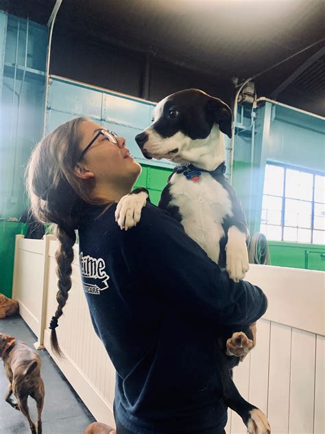 WEST ALLIS - Playtime Doggy Daycare