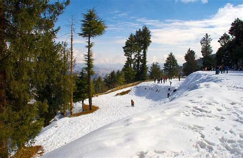 Top Tourist Places To Visit In Dharamshaladharamshala Tourismbest