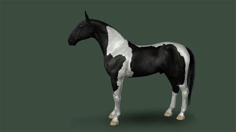 Markings Tundra Mountain Stables Sims 4 Pets Horses Sims 4