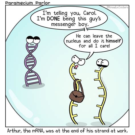 Pin By Kcspin On Biology Biology Humor Biology Jokes Science Humor