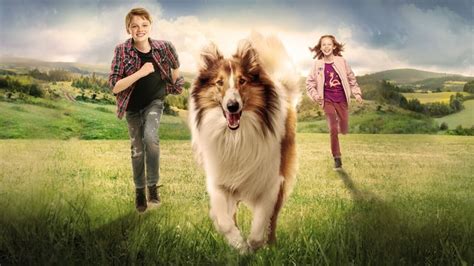 Lassie Comes Home Film Review Goodorbad Film Reviews