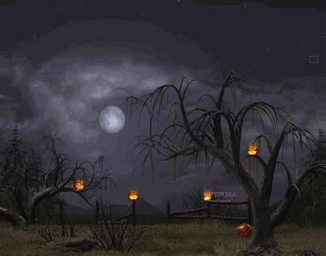 Halloween Backgrounds Wallpapers Wallpaper Cave