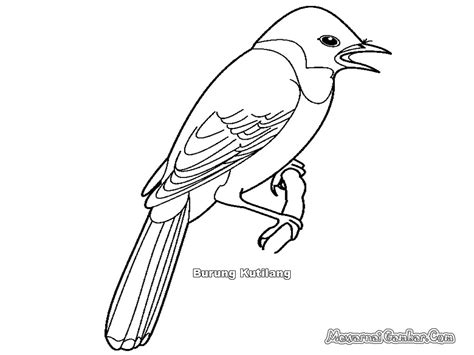 680 gambar sketsa kolase burung hantu gratis terbaik di 2020 burung hantu sketsa gambar hewan. Belajar Mewarnai Burung Garuda - Warna Devia