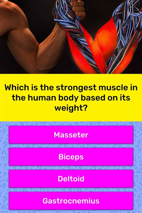 Which is the strongest muscle in the... | Trivia Questions | QuizzClub