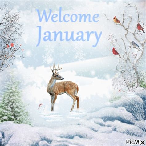 Welcome January - PicMix