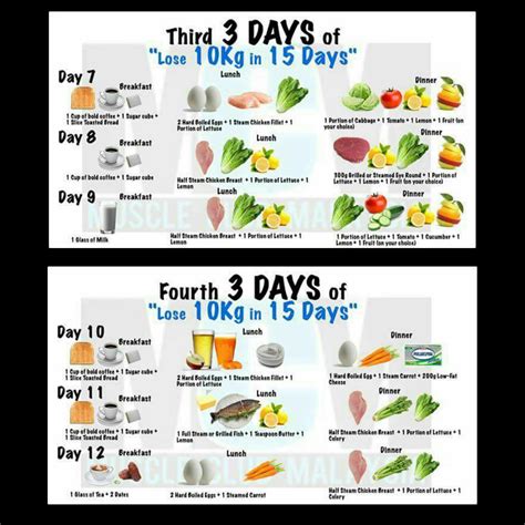 Resep 'tempe untuk diet' paling teruji. Pin on TIPS DIET BY KEVIN ZAHRI