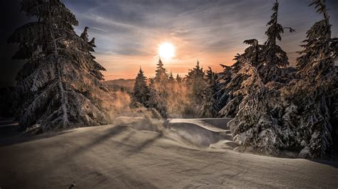 Mountain With Trees Covered With White Snow During Sunrise Hd Winter