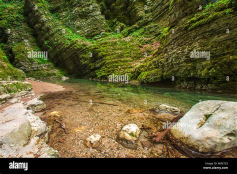 Mossy Forest Bed Hi Res Stock Photography And Images Alamy