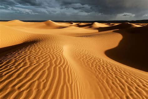 Desierto ¿cómo Se Forma Un Desierto Explicación Y Características