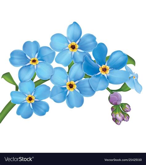 Bunch Of Blue Forget Me Not Flowers With Leaves Download A Free