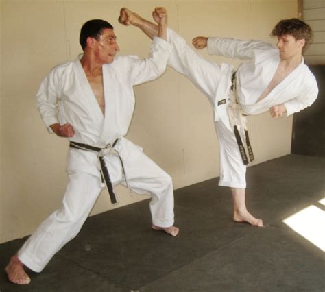 Shotokan How To Block A Kick Karate Martial Arts Shotokan Martial Arts