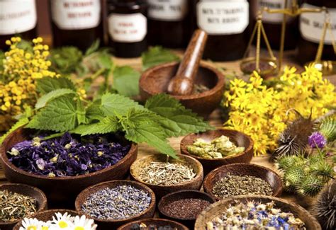 An Overview Of Homeopathic Medicine