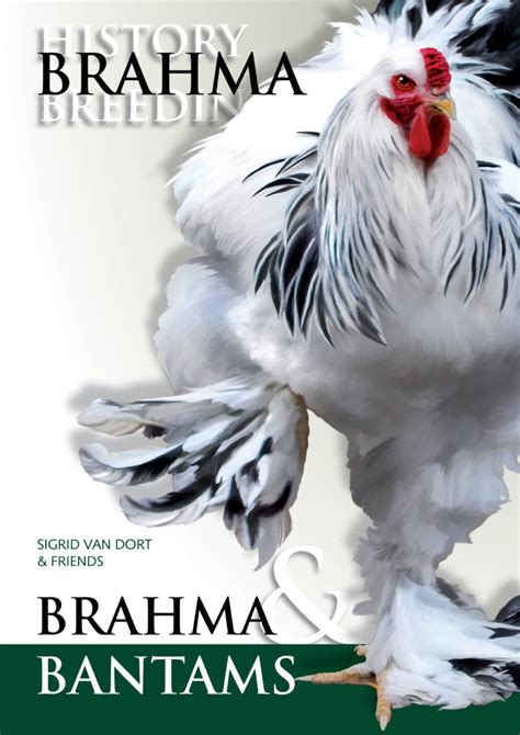 The Brahma And Brahma Bantams Book
