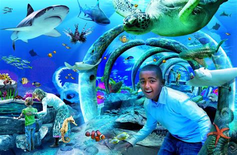 Sea Life London Aquarium London Aquarium London Tickets Information Reviews