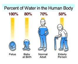 This cost will depend on whether the body is being moved between cities within the united states or internationally overseas. QUAIATTINNI: Benefits of Drinking Water..